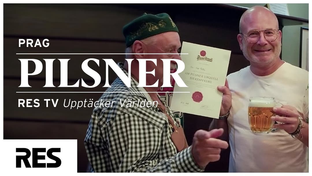 Så här görs en riktig pilsner i Tjeckien